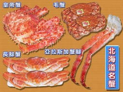 数字化美食新风尚 节目与活动专属95折优惠券引领食品互联网消费潮流