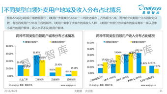 2016年中国互联网餐饮外卖市场白领用户深度画像分析报告